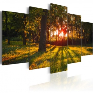 Festmény In the shade of forest, 200x100 cm