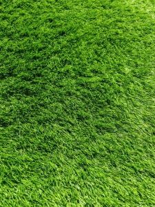 Gazon Artificial, Avent, Verde, 400x2100 cm, Delta