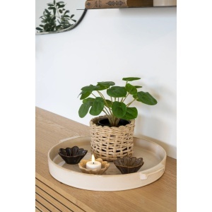 Planta artificiala decorativa Pelia Pelia, Verde, 28x28x14 cm