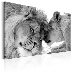 Festmény Lion's Love, 90x60 cm