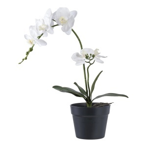 Planta artificiala decorativa Orhidee, Verde, 34x21x47 cm - Img 3