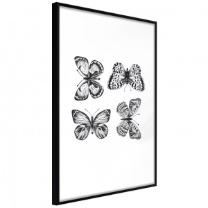 Poszter fekete kerettel, ""Butterfly Collection III"", 30x45 cm