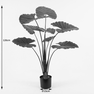 Dekoratív növény cserépben, Alocasia, zöld, 90x90x120 cm - Img 4