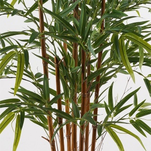 Dekoratív növény cserépben, Rhapis Palm, zöld, 80x80x180 cm - Img 2