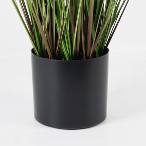 Dísznövény, Boxwood, fekete, 46x46x150 cm - Img 3