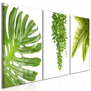 Festmény Beautiful Palm Trees (3 részes), 120x60 cm