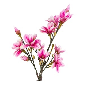 Planta artificiala decorativa Magnolia, Verde, 30x40x75 cm - Img 3