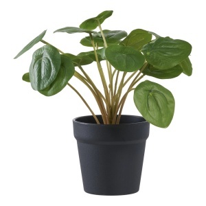 Planta artificiala decorativa Pelia Pelia, Verde, 28x28x14 cm - Img 5