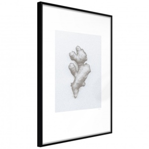 Poszter fekete kerettel, ""Ginger Rhizome"", 30x45 cm
