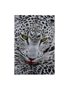 Szőnyeg, Kolibri, Leopard, 160x230 cm