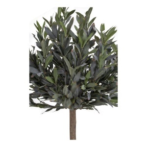 Copac artificial, Verde, 43x47x120 cm - Img 4