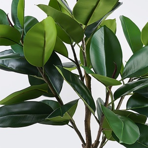 Dísznövény, Ficus Lyrata, zöld, 70x70x130 cm - Img 2