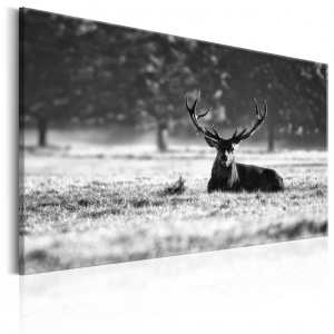 Festmény Lying Deer, 90x60 cm