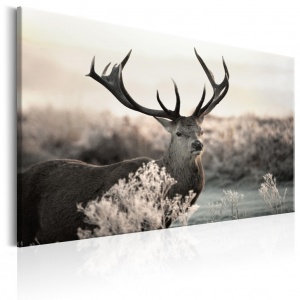 Festmény Powerful Horns, 120x80 cm