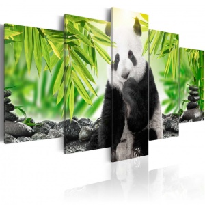 Festmény Sweet Little Panda, 200x100 cm