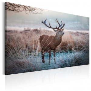 Festmény Wild Animal, 120x80 cm