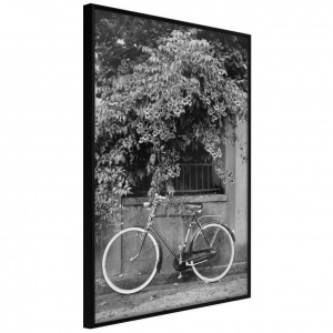 Poszter fekete kerettel, ""Bicycle with White Tires"", 40x60 cm