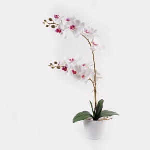 Dekoratív növény cserépben, Orchid, fehér, 36x17x65 cm