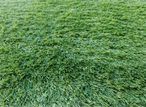 Gazon Artificial, Lion, Verde, 300x500 cm, Delta - Img 3