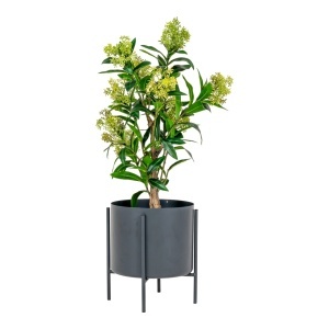 Planta artificiala decorativa Skimmia Skimmia, Verde, 40x40x75 cm - Img 4