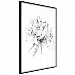 Poszter fekete kerettel, ""Sketch of Lillies"", 30x45 cm
