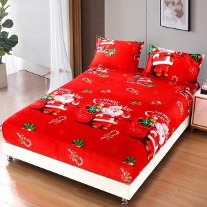Cearsaf de pat Cocolino cu elastic si 2 fete de perna Merry V21 180x200cm