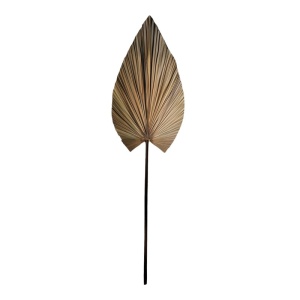 Dísznövény, Leafen Boho, Pako World, natúr, 50x75x150 cm