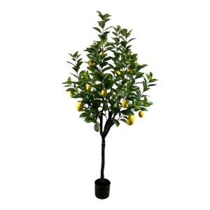 Dísznövény, Lemon tree, zöld, 180x180x180 cm