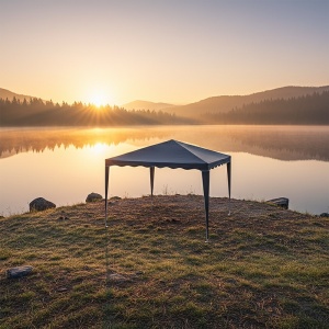 Pavilion de gradina, Gazebo, Gri inchis, 300x300x250 cm - Img 2