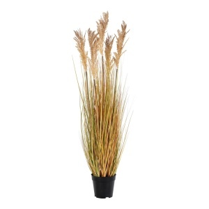Planta artificiala decorativa Sorghum Sorghum, Natural, 35x30x110 cm - Img 5