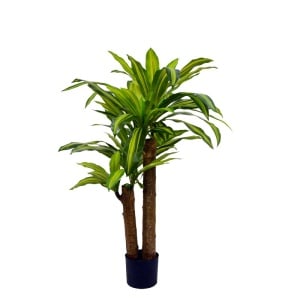 Dísznövény, Dracaena, zöld, PP műanyag, cserepes, H110 cm