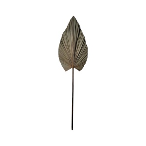 Dísznövény, Leafen Boho, Pako World, natúr, 35x60x130 cm