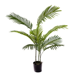 Kerti dísznövény, Areca, Pako World, fekete, 80x80x80 cm