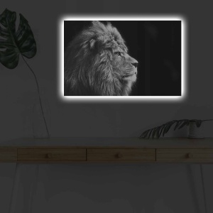 LED-es kép 4570DHDACT, többszínű, 45x70 cm