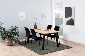 Scaun dining Demina, Negru, 92x43.5x53 cm