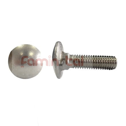 SURUB CAP TORBANT M6X30 DIN 603 (SET 10 BUC)