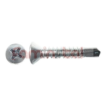 AUTOFORANT CAP INECAT 4.2X19 DIN 7504P (SET 10 BUC)
