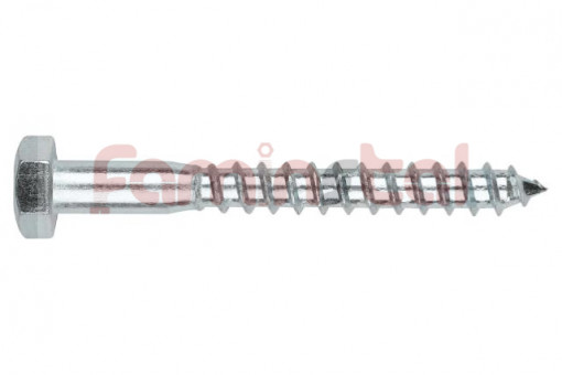 HOLTSURUB CAP HEXAGONAL 10X90 DIN 571 (SET 10 BUC)