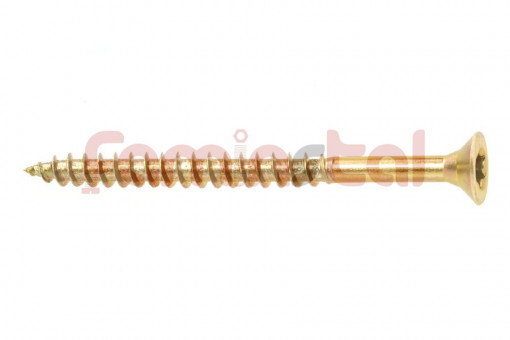 HOLTSURUB PAL CAP INECAT PARTIAL FILETAT 6X100 (SET 100 BUC)