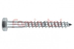 HOLTSURUB CAP HEXAGONAL 10X120 DIN 571 (SET 10 BUC)