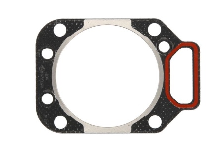 DIHTUNG GLAVE MWM TD226 113MM 12272061