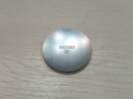 CEP BREGASTE CUMMINS 60,2MM 3900687