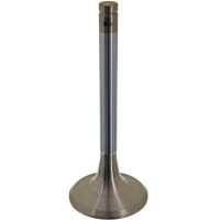 VENTIL USISNI MAN D2556/D2566 51041010332