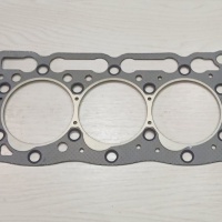 DIHTUNG GLAVE KUBOTA D1105 NT 1E038-03310