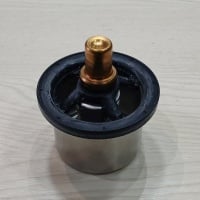TERMOSTAT VOLVO TD73 8149182