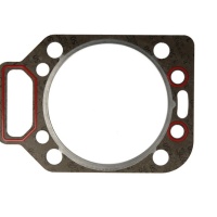 DIHTUNG GLAVE MWM D227 12160439