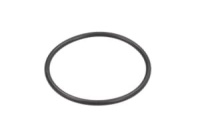 O-RING FILTERA GORIVA NEW HOLLAND 63,09X3,53 4898876