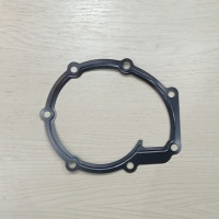 DIHTUNG PUMPE VODE PERKINS 3689A502