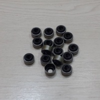 GUMICA VENTILA VOLVO L30G 16670182