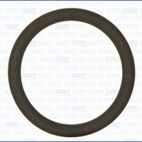 O-RING VOLVO D5D 21087699